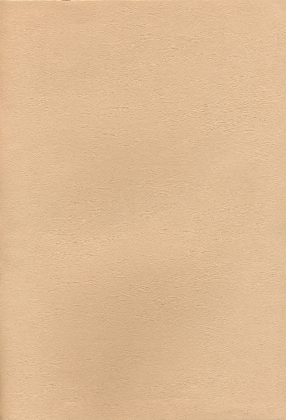 Yamakoshou page 2 full