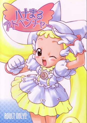 Hana Maru Adventure cover