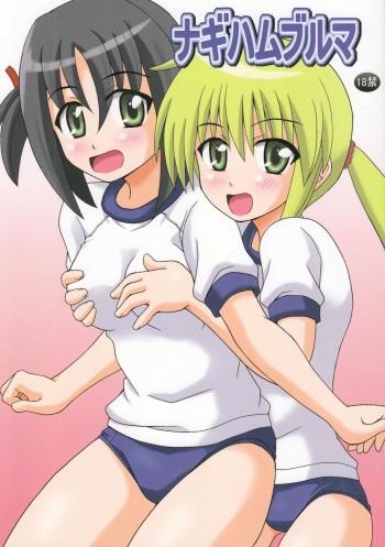 Nagi Hamu Bloomer cover