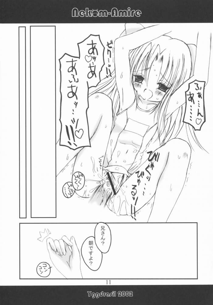 Nekom-Amire page 8 full