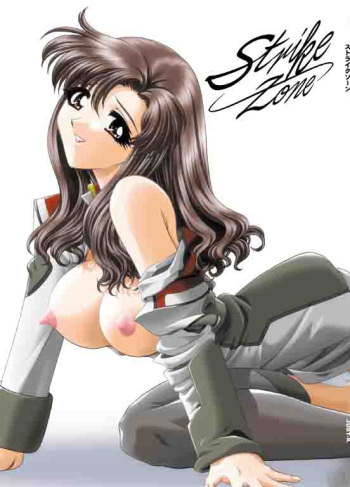 Strike Zone cover