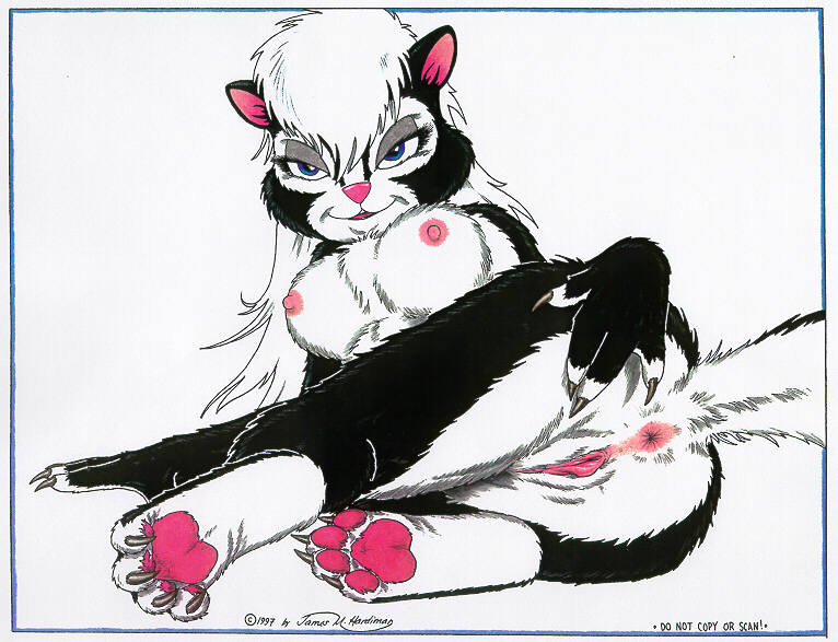 Skunkworks 4 - Up Close and Personal! page 10 full