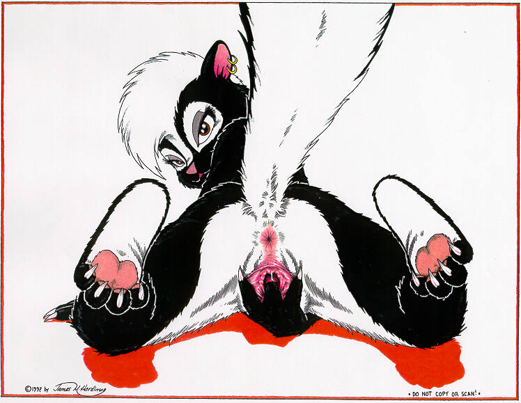 Skunkworks 4 - Up Close and Personal! page 2 full