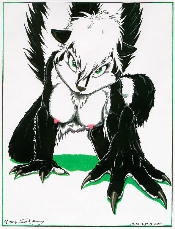Skunkworks 4 - Up Close and Personal! page 3 full
