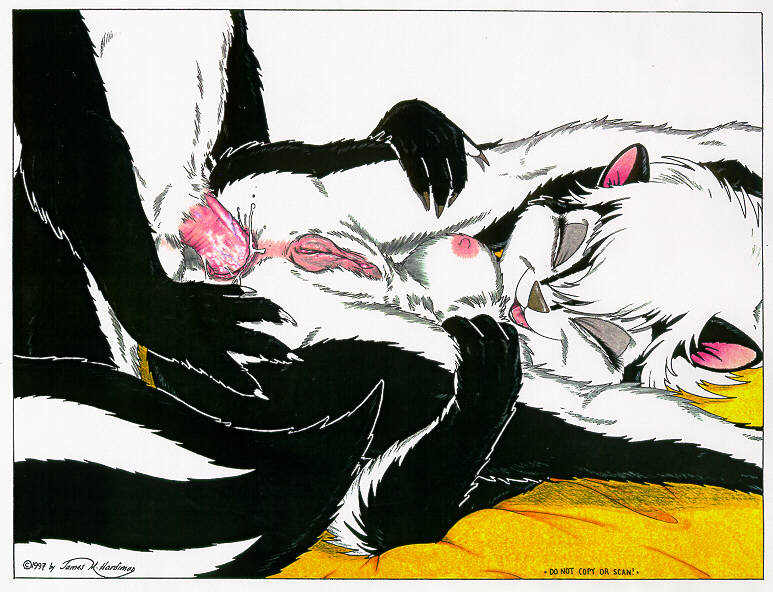 Skunkworks 4 - Up Close and Personal! page 6 full