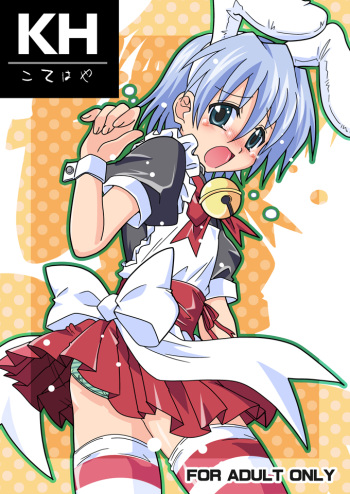 KH Kotehaya cover
