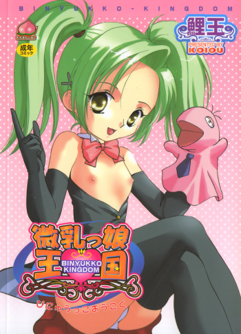 Binyukko Oukoku cover
