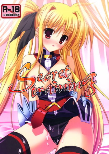 Secret Training cover