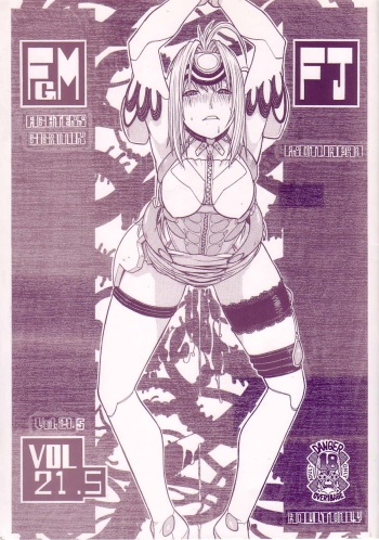 FIGHTERS GIGAMIX FGM Vol. 21.5 cover