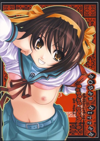 ROSEN RITTER cover