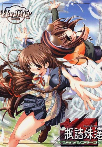Binzume Sisters 2 cover