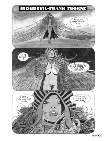 The Iron Devil cover
