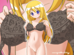 HFH's Ecchi