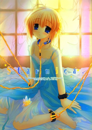 Star mica cover