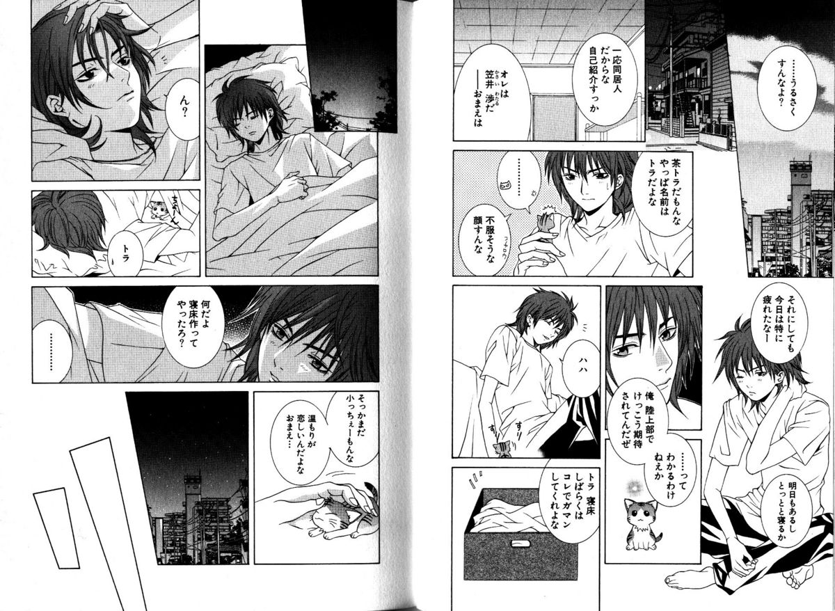 Akana Meiko - Nekokan page 8 full