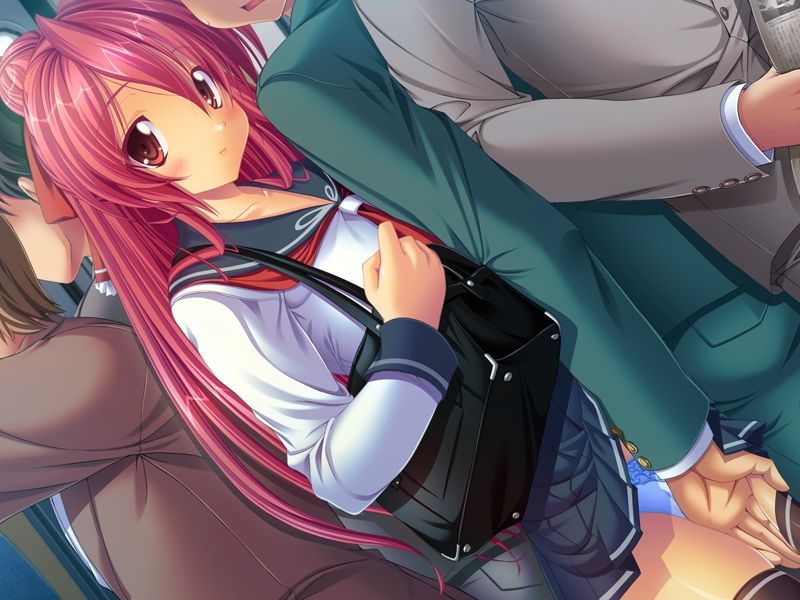 Dokidoki Chikan Densha ～ Boku to Kanojo no Himitsu na Kankei ～ page 8 full