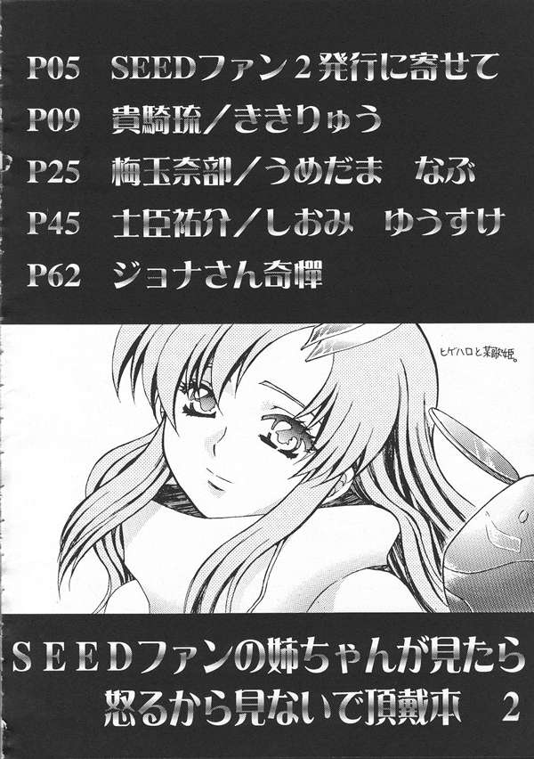 SEED Fan no Oneechan ga Mitara Okoru Kara Minaide Choudai Hon 2 page 3 full