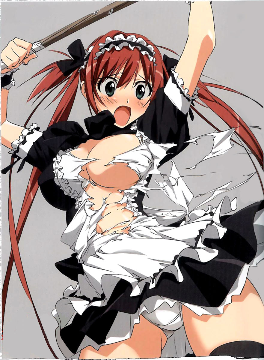 Queen's Blade Elena &amp; Airi Hentai collage page 5 full