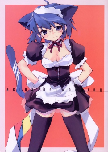 Akiba de working cover