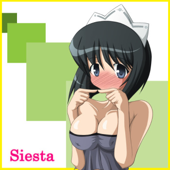 Zero no Tsukaima - Siesta cover