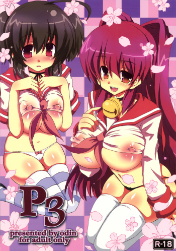 P3 cover