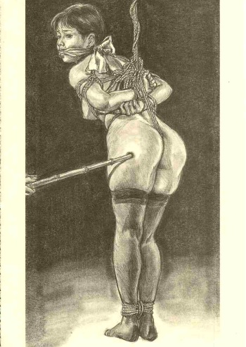 Japanese BDSM cover