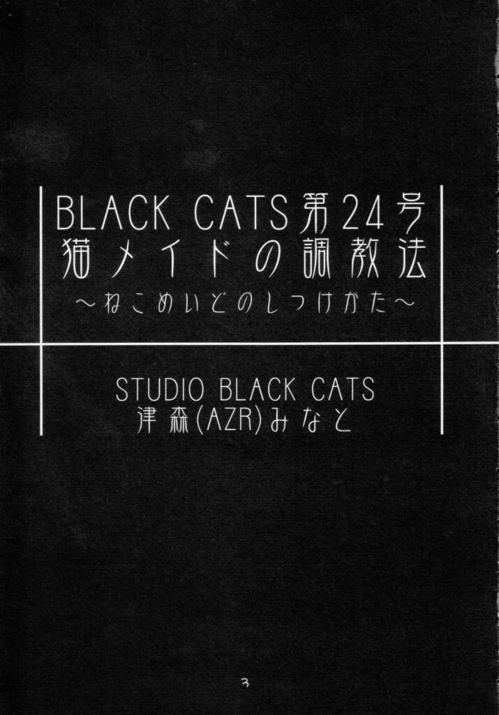 Minato Neko Maid no Shitsukekata page 3 full