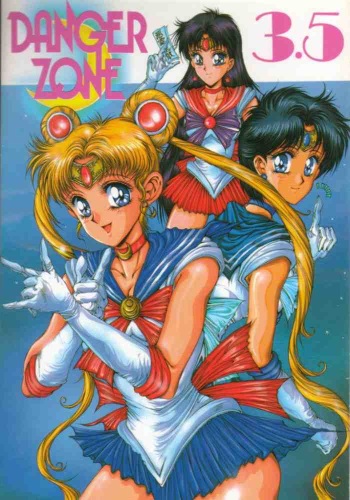 DANGER ZONE 3.5 cover