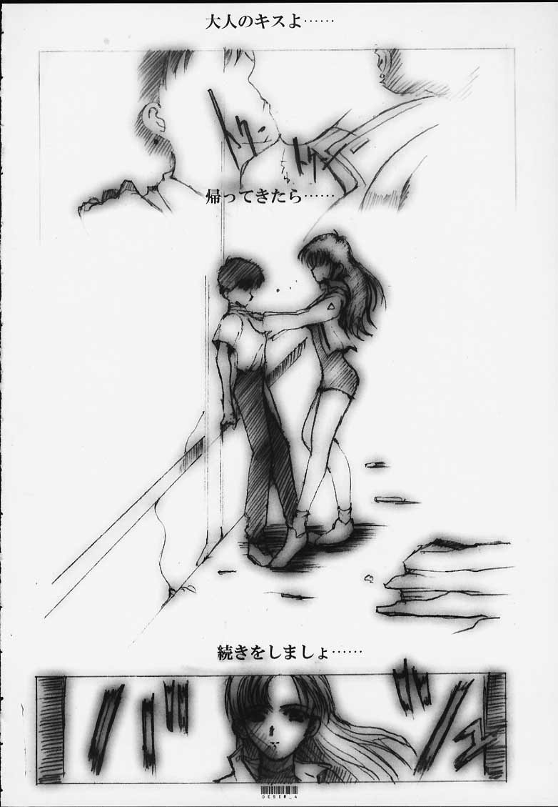 Désir - Yokubou no Hate - Kaiteiban page 3 full
