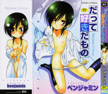 Datte Suki Damono - Because It Loves cover