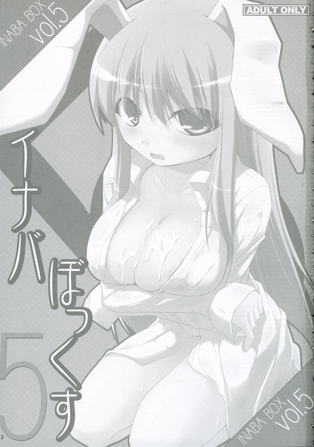 INABA BOX 5 page 2 full