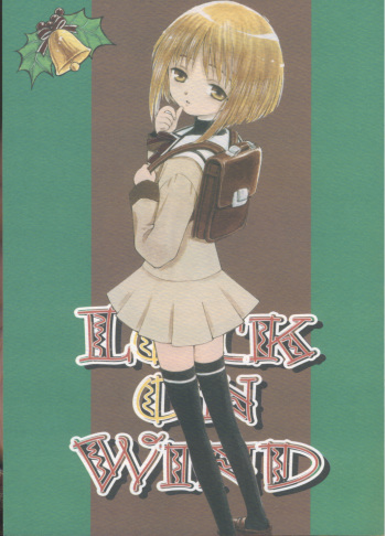 Lock On Wind cover