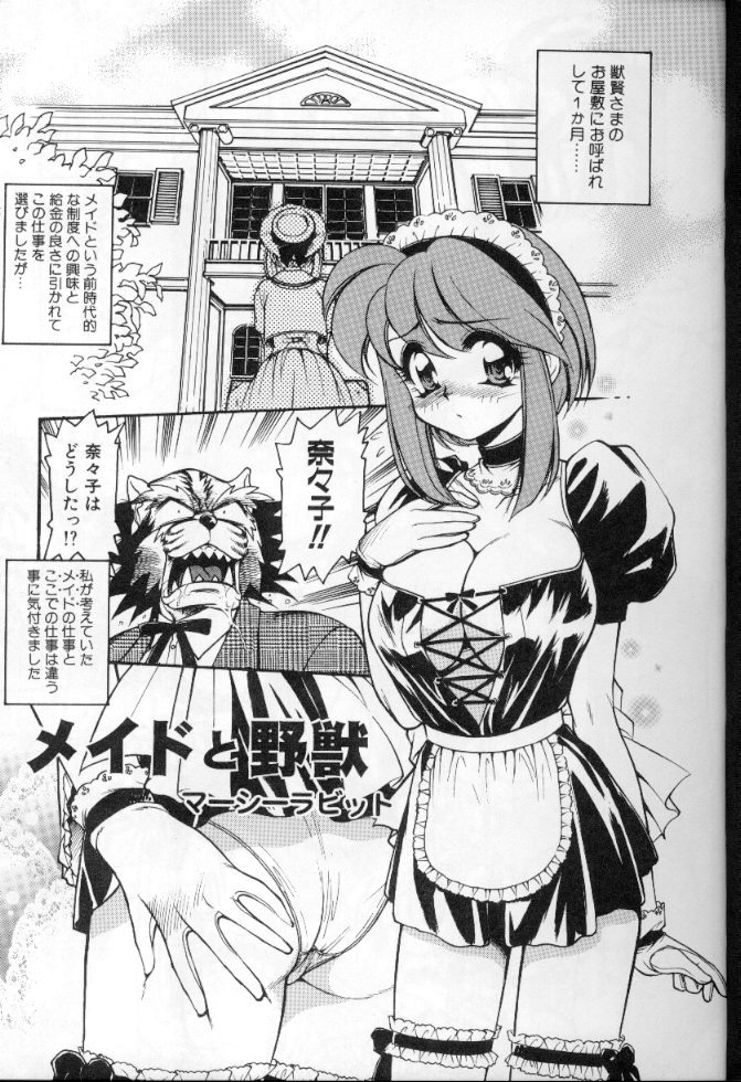 Maid Deluxe page 8 full