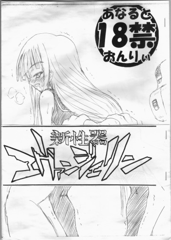 Shin Seiki Evangeline cover
