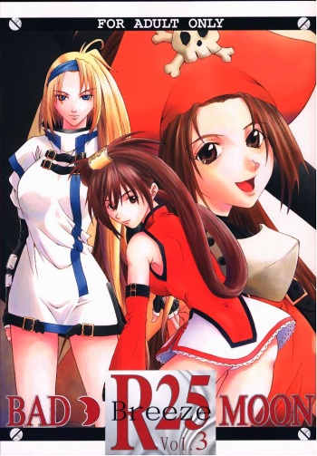 R25 Vol.3 BAD MOON cover