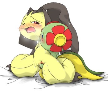 pokemon hentai cover