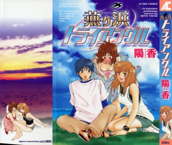 Tsubamegahama Triangle cover