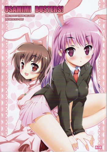 USAMIMI BUSTERS! cover