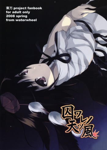 Toraware no Amatsukaze cover