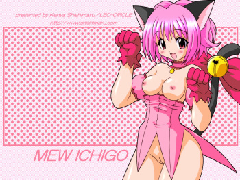 Delusion Mew Mew cover