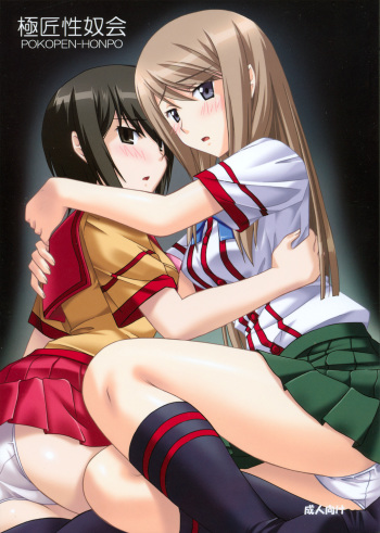 Gokujou Seidokai cover