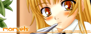 Shiawase no Katachi no Marvelous CG-shuu cover