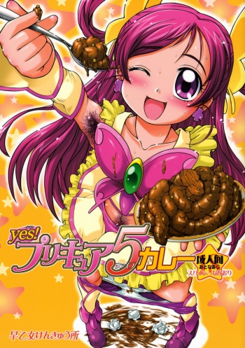 Yes! PRECURE-5 Curry cover
