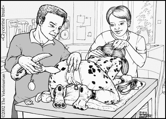 The veterinarian page 3 full
