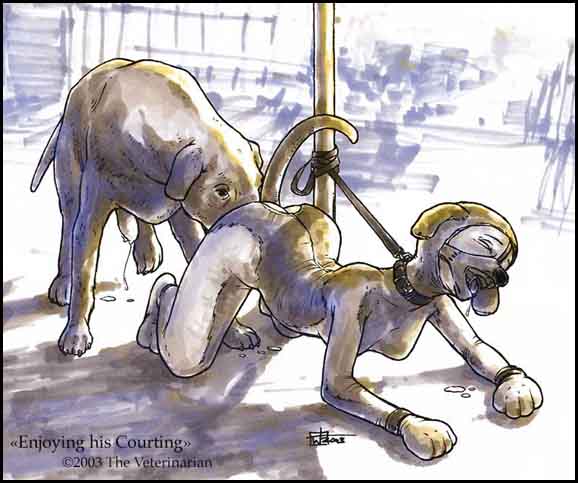 The veterinarian page 9 full