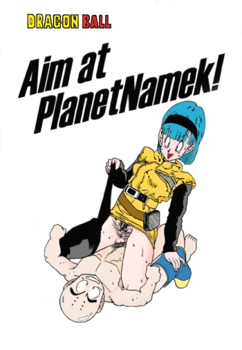 Aim at Planet Namek! cover