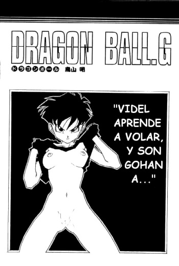 Dragon Ball G cover