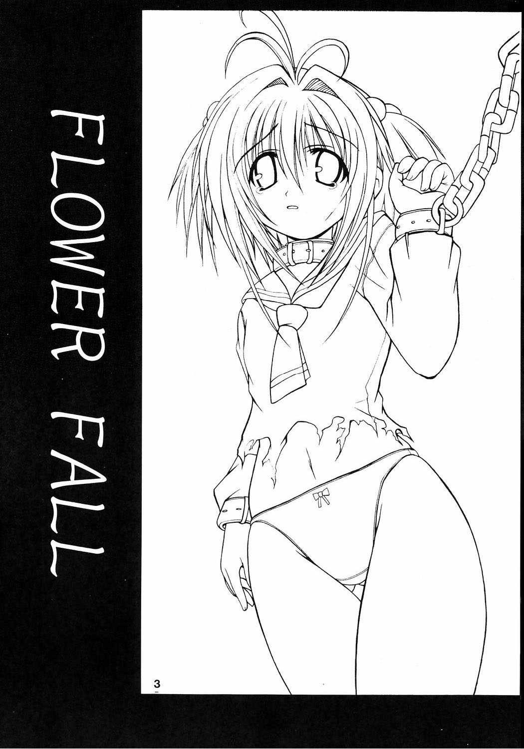 Flower Fall page 2 full