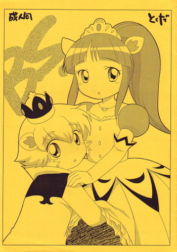 BS cover