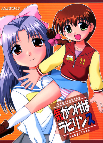 Kigatsukeba Labyrinth cover